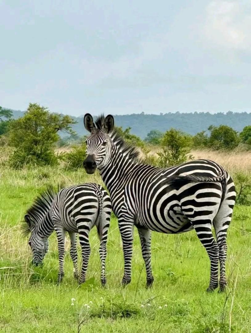 Visit Queen Elizabeth National Park - photo 2